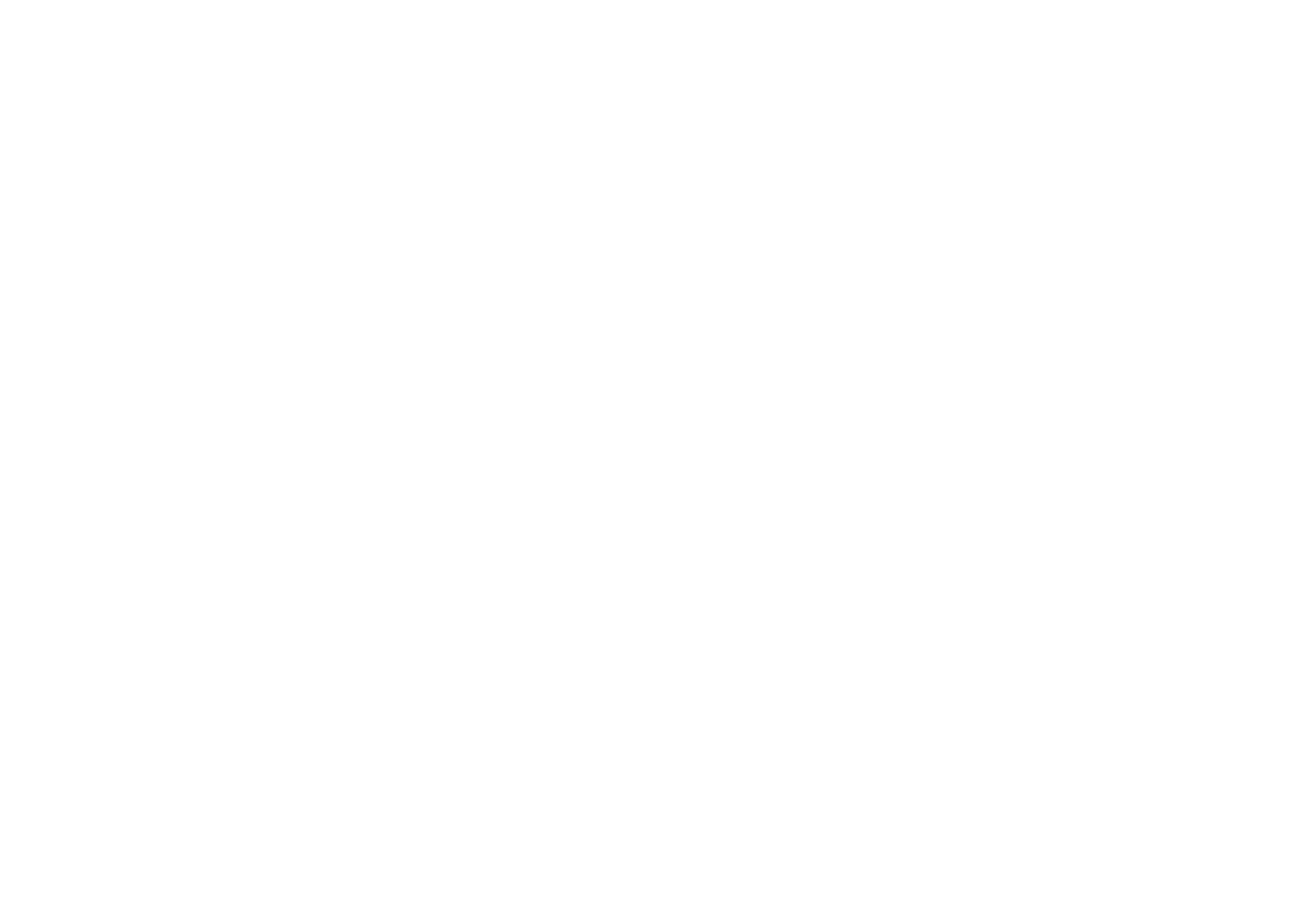 Chas_Elite_logo